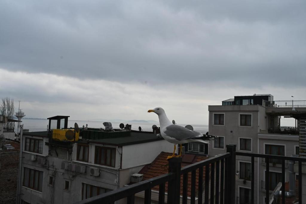 Apartament Albatros