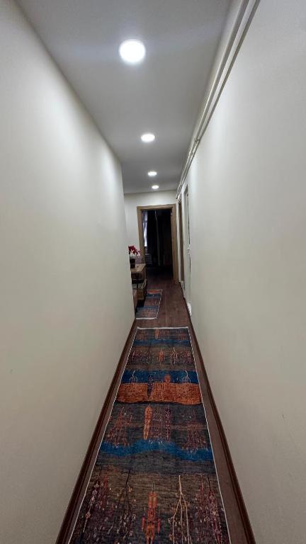 Apartament Albatros *