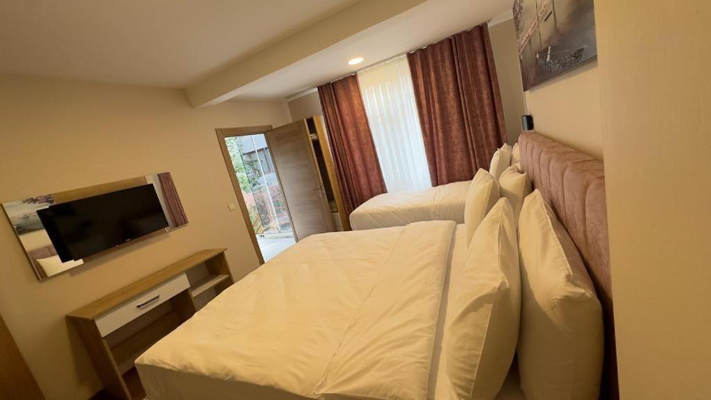 Albatros Apartament